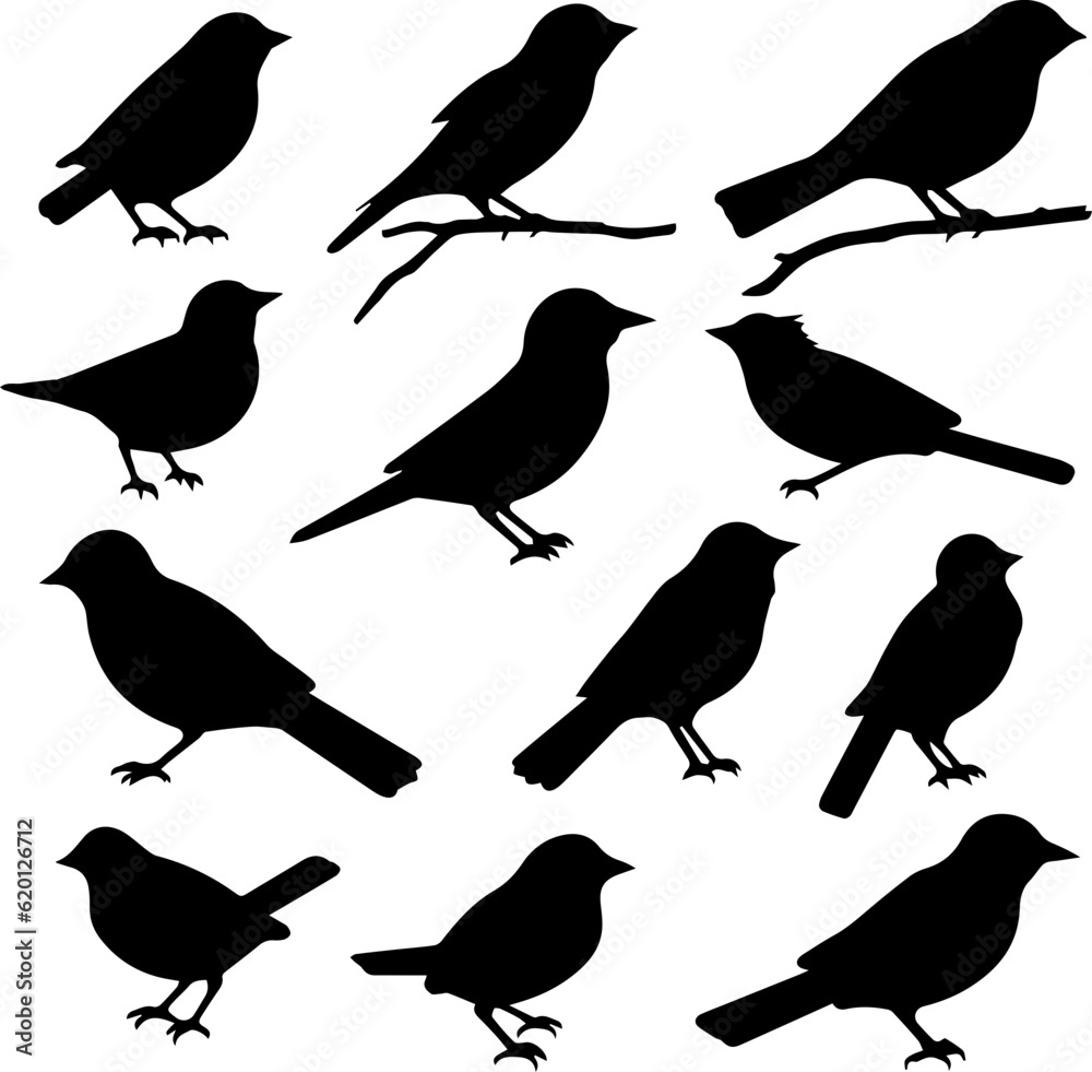 Obraz premium silhuette bird images