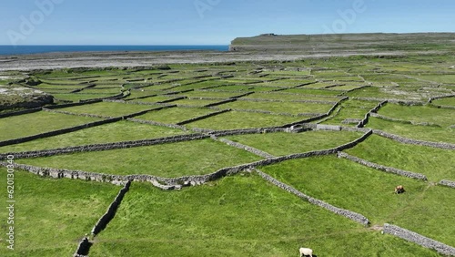 flyover of ancient field system and lush pastures Inis More Aran Islands West Of Ireland photo