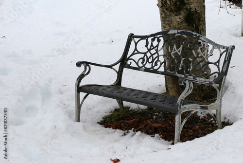 Black medal bench next to a tree in the snow photo