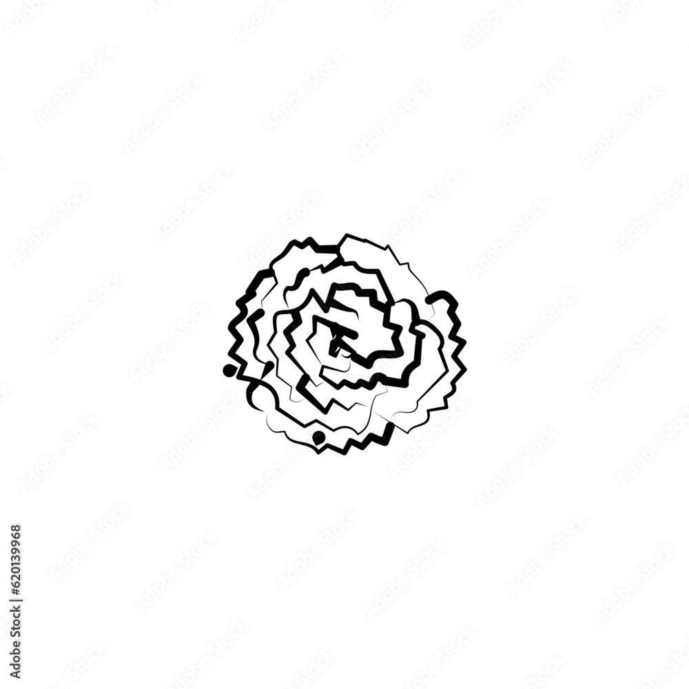 hand drawn flower hand drawn flower