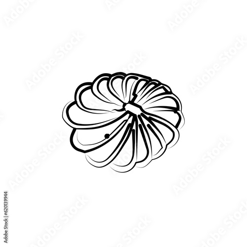 hand drawn flower