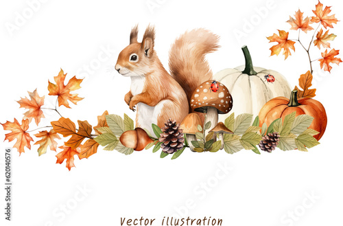 watercolor autumn squirrel with pumpkin vector illustration