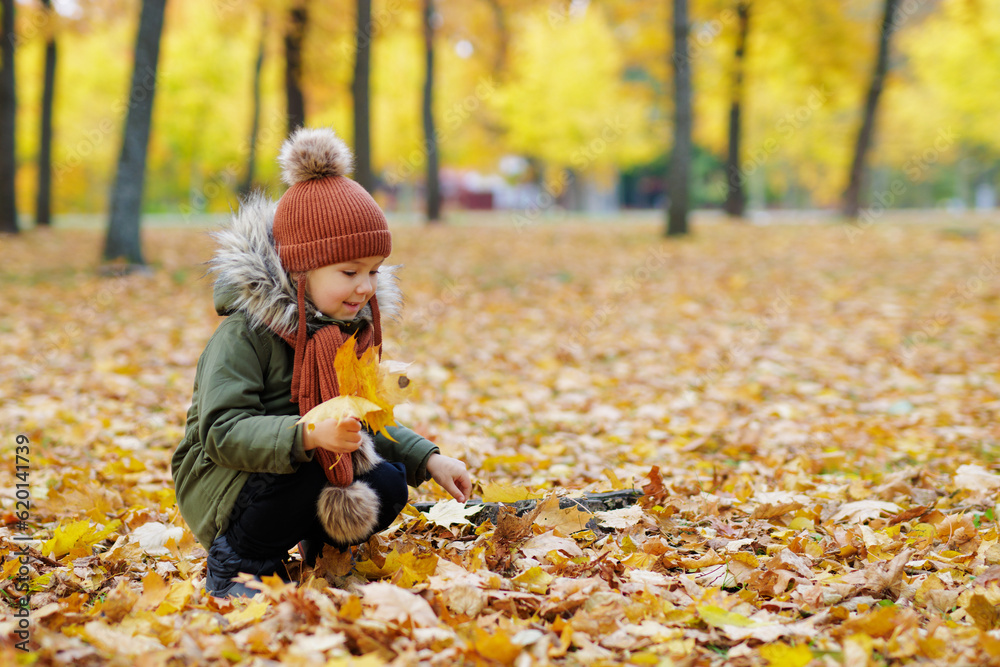 Cute little girl in autumn park collect lesves Cute little girl in autumn park collect lesves