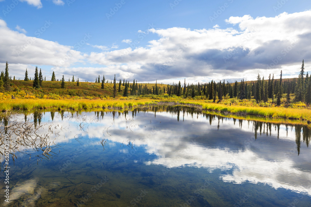 Lake in Alaska