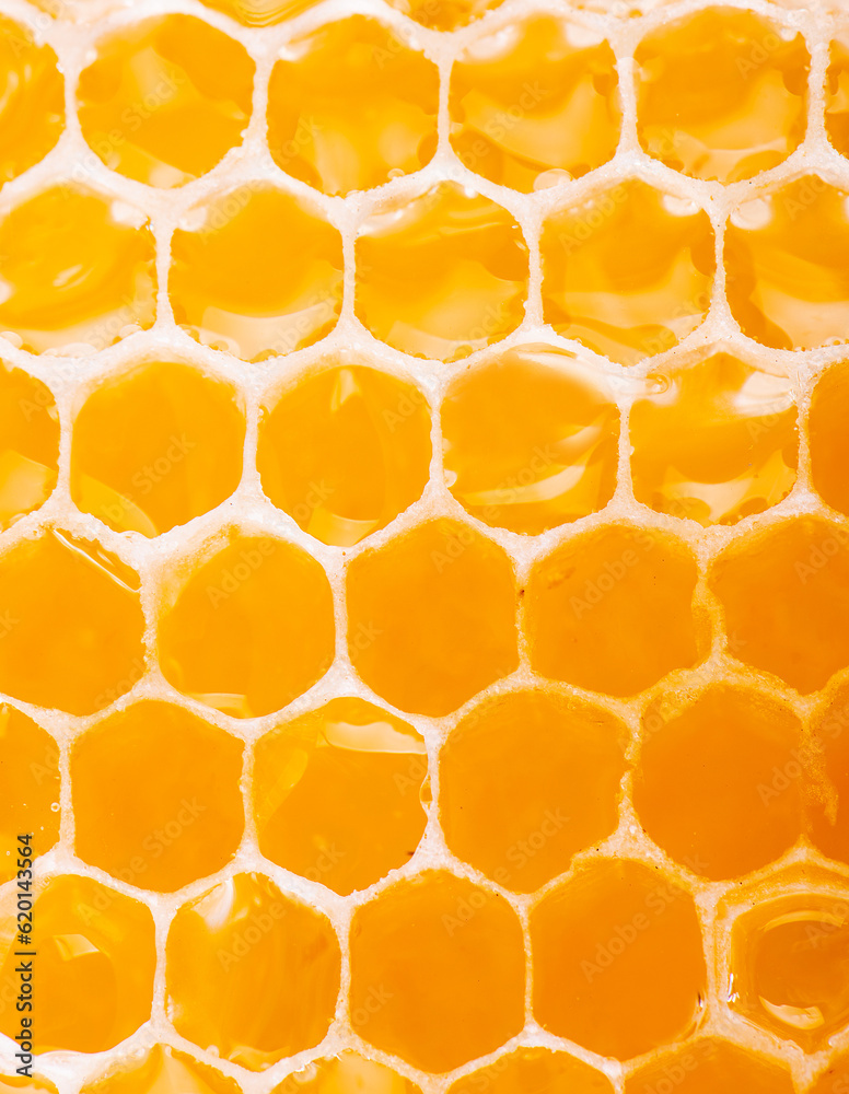 honeycomb close up honeycomb close up