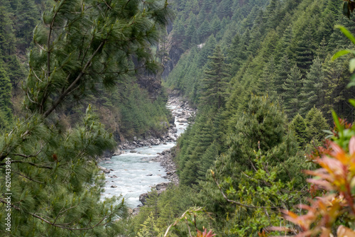 Beautiful white colored dudhkoshi river flowing through dense forest of pine and cedar. White river flowing through lush green forest in the valley enroute everest base camp trek in nepal. photo