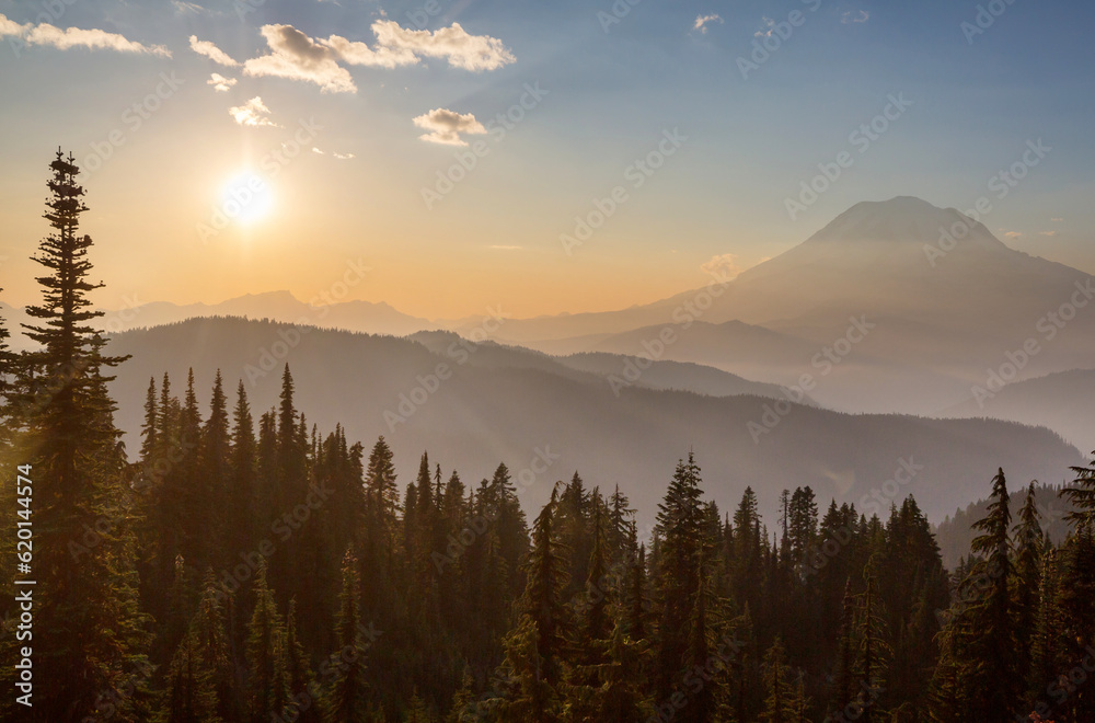 Obraz premium Mt Rainier