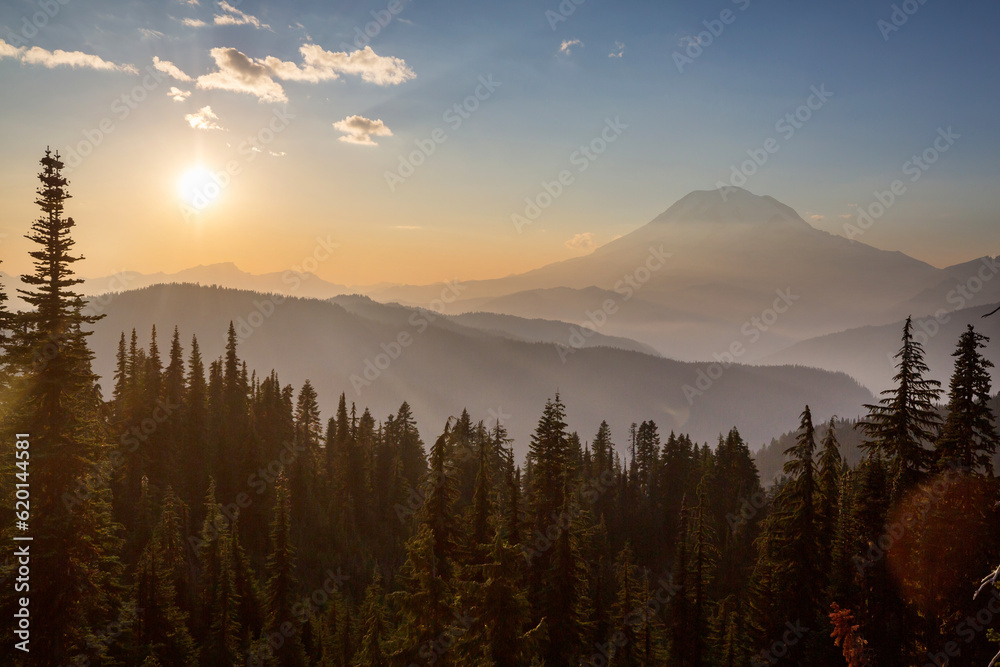 Obraz premium Mt Rainier