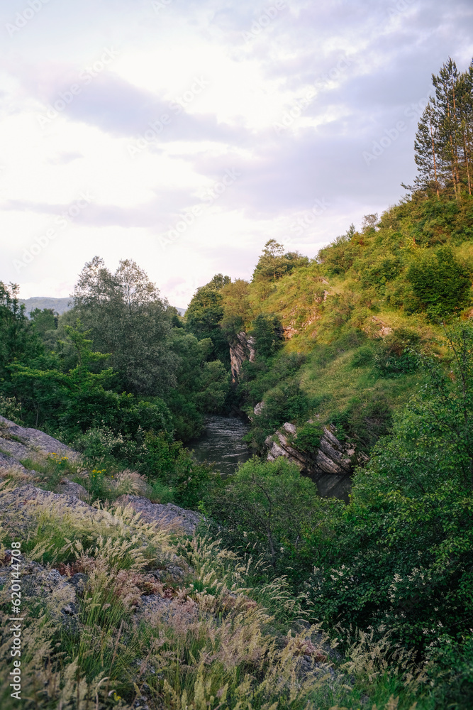 landscape in the mountains with river and forest