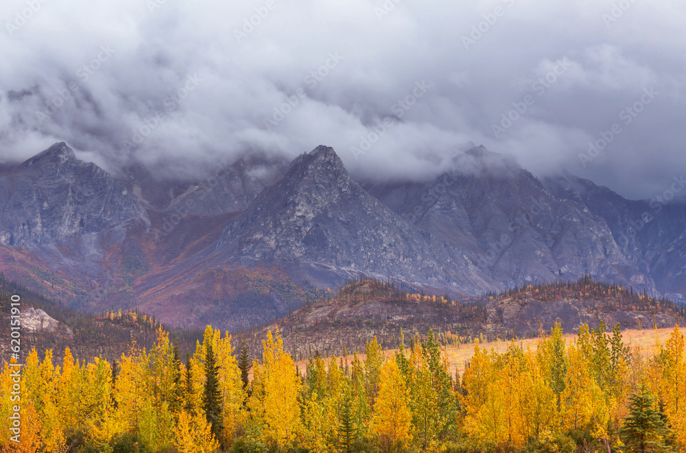 Autumn in Canada