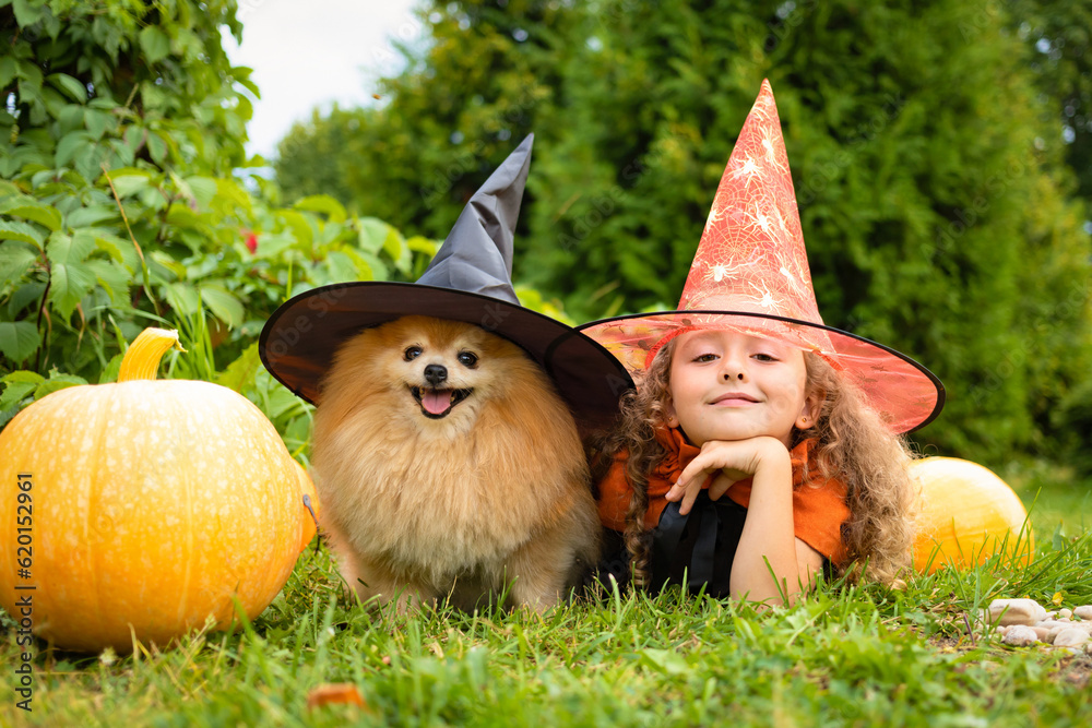 halloween kid and dog. pomeranian spitz guarding little cute girl in
