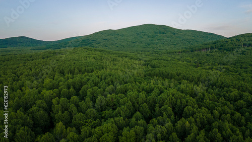 Aerial view of the Peak of the mountain range and tall forest near to the river at summer cloud evening with horizon, green color, low height