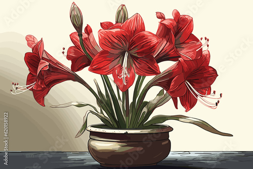 Amaryllis vector art paintign illustraion. photo