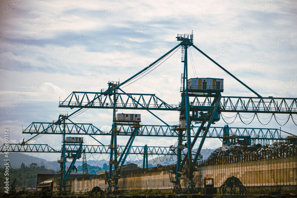 Fototapeta premium Cranes Bilao