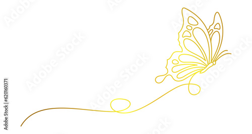 Photography butterfly line art style, element vector illustration eps 10
