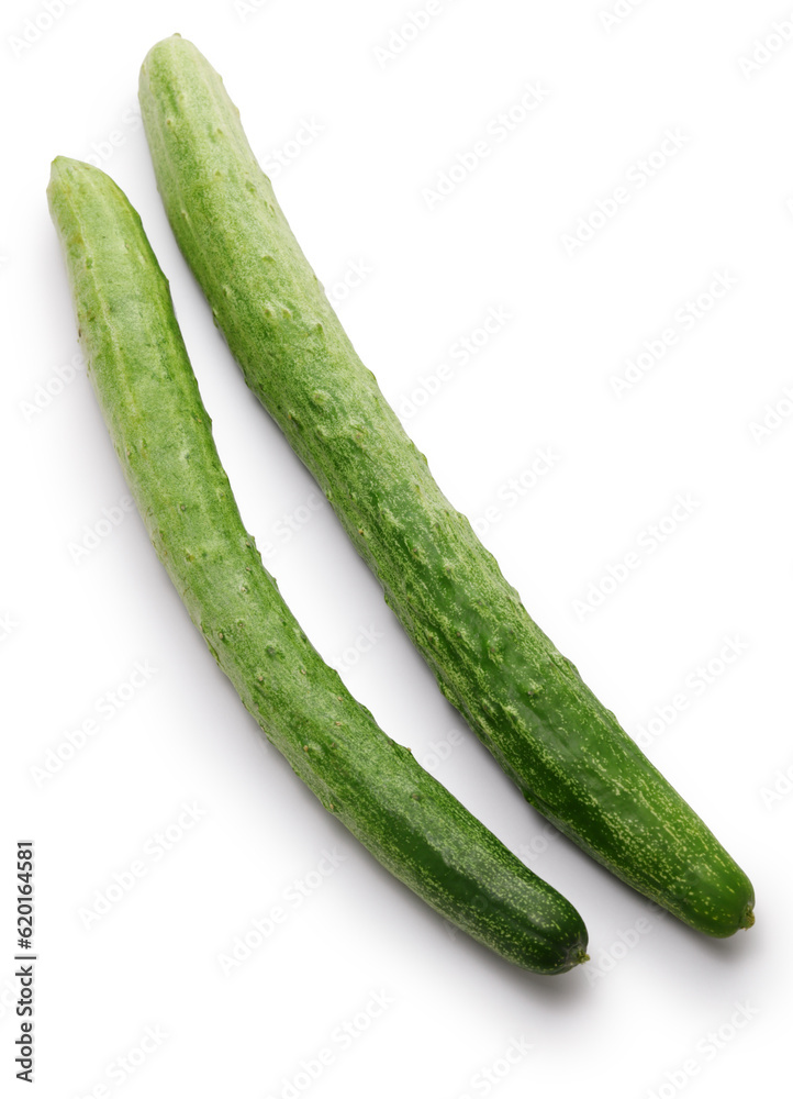 Japanese Cucumber (Asakaze), Kyoto traditional vegetable Japanese Cucumber (Asakaze), Kyoto traditional vegetable