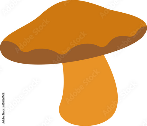 Brown Cap Boletus Mushroom