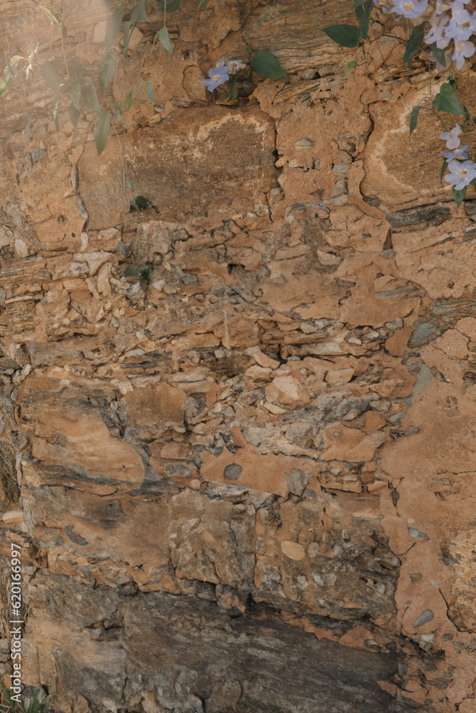 Old masonry wall. Stone wall style walls of a huge farm with old house, trees, blue flowers and grazing horses.