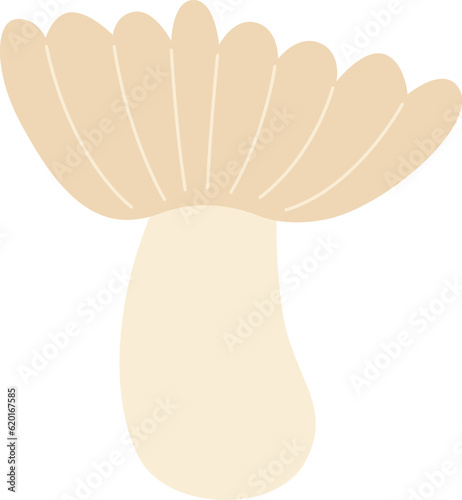 Porcini Mushroom Plant