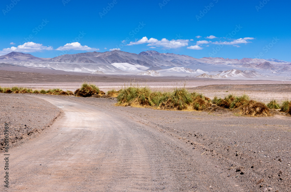 Puna - off road adventure on the way to the Campo de Piedra Pómez, a bizarre but beautiful landscape with a field of pumice, volcanic rocks and dunes of sand in the north of Argentina, South America 