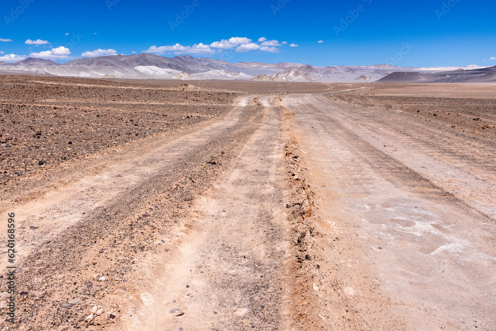 Puna - off road adventure on the way to the Campo de Piedra Pómez, a bizarre but beautiful landscape with a field of pumice, volcanic rocks and dunes of sand in the north of Argentina, South America 