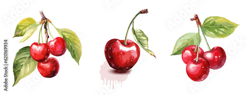 Cherry, watercolor painting style illustration. Vector set.