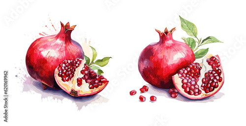 Pomegranate, watercolor painting style illustration. Vector set.