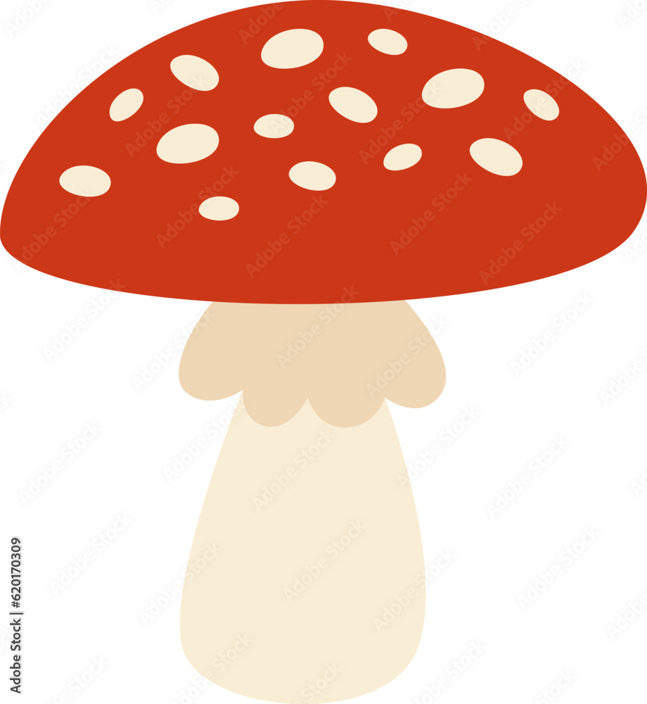 Fly Agaric Mushroom