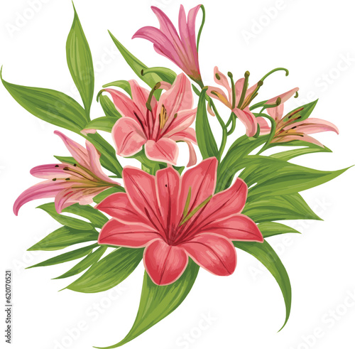 watercolor lily flower  vector   vector art 