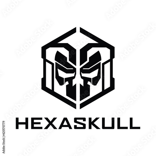 Skull icon. hexagon Skull logo vector design template