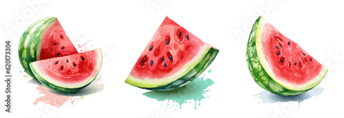 Fototapeta Naklejka Na Ścianę i Meble -  Watermelon, watercolor painting style illustration. Vector set.
