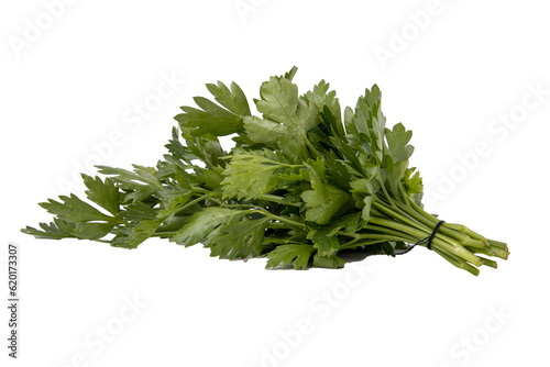 Green parsley isolated on white