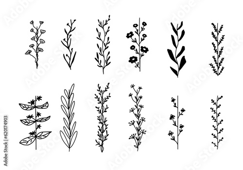 Vector set of doodle flowers. Black and white herbal hand drawn brushes. Floral collection for wedding, greeting card
