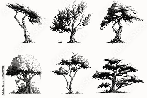 set of silhouettes of trees