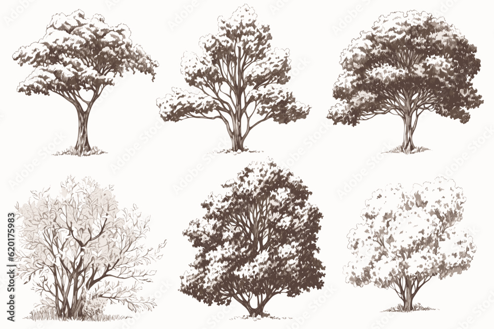 Obraz premium set of trees silhouettes