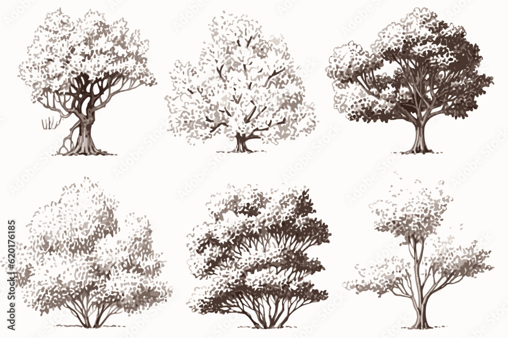 Fototapeta premium set of trees vector