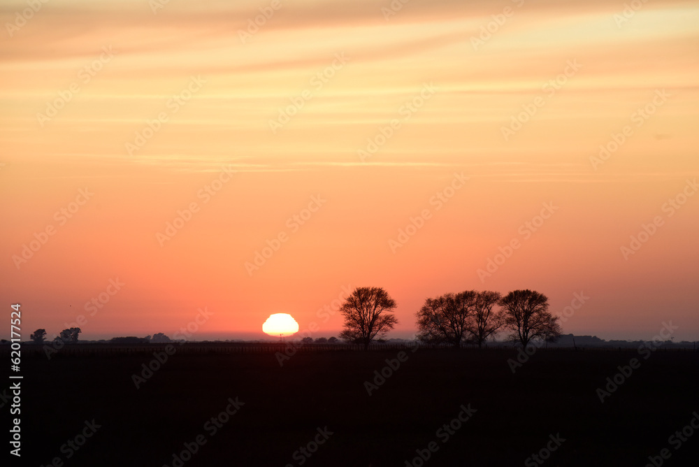 Rural sunset landscape, Buenos Aires province , Argentina