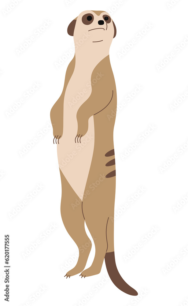 Meerkat Single 8 PNG Meerkat Single 8 PNG