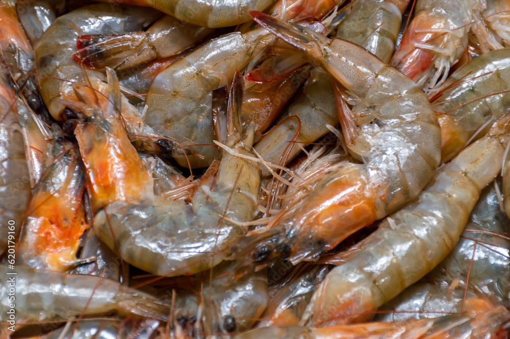 Fresh, store-bought sea shrimp Fresh, store-bought sea shrimp