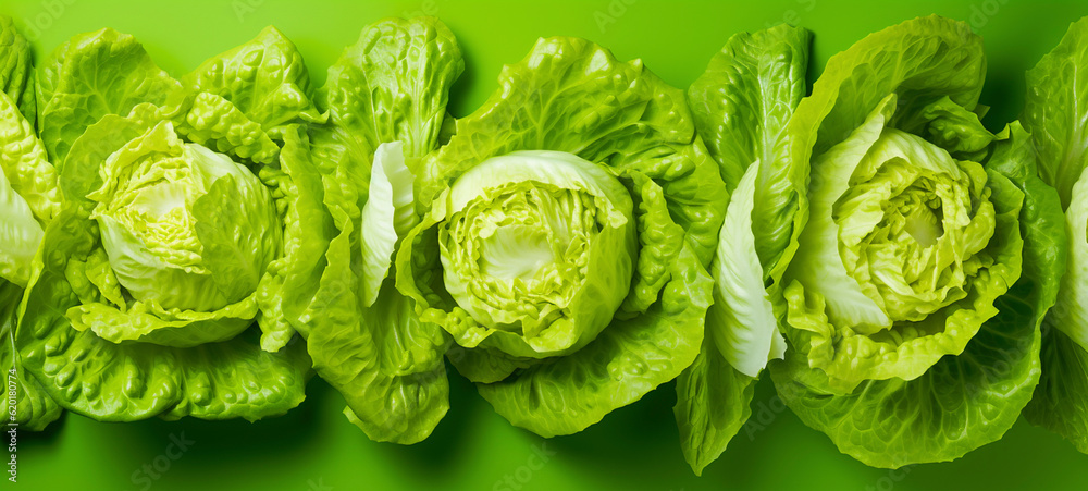 Bright and juicy green lettuce leaves, generative AI Bright and juicy green lettuce leaves, generative AI
