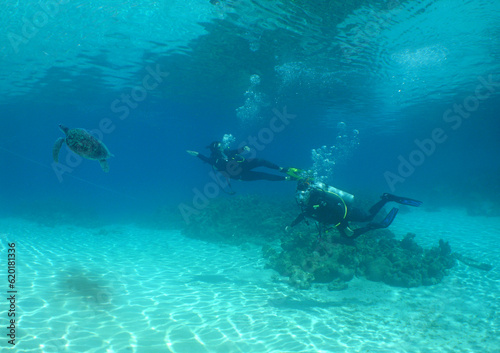 divers exploring a coral reef in the caribbean sea