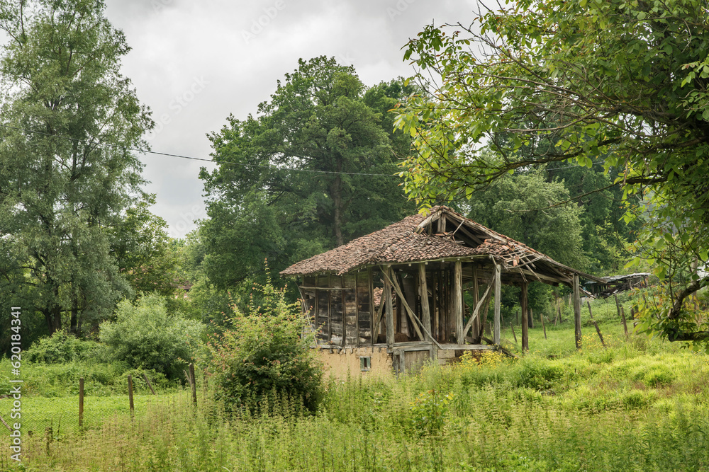 Old rural farm barn in summer day Old rural farm barn in summer day