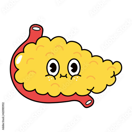 Pancreas character. Vector hand drawn traditional cartoon vintage, retro, kawaii character illustration icon. Isolated on white background. Pancreas character concept
