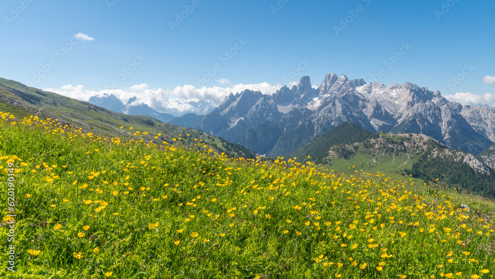 Beautiful mountain landscape at the Plätzwiese / Prato Piazza in the Dolomites (Italian Alps), with the Monte Cristallo in the background