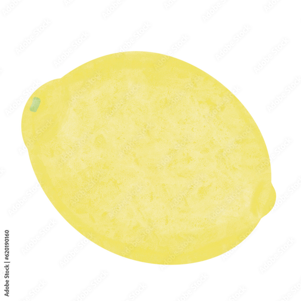 lemon drawn isolated on white ,fruit