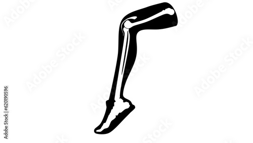 Knee bone joint silhouette