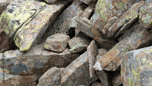 Lichen on rocks