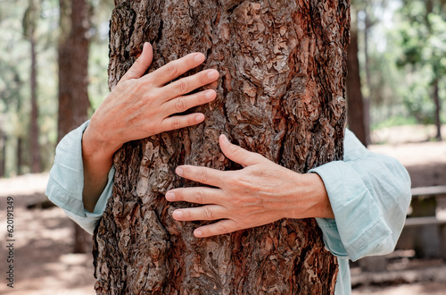 Human female hands hugging a tree in the woods - love for outdoors and nature - earth's day concept. People save the planet from deforestation