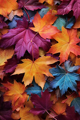 Autumn leaves lying on the floor