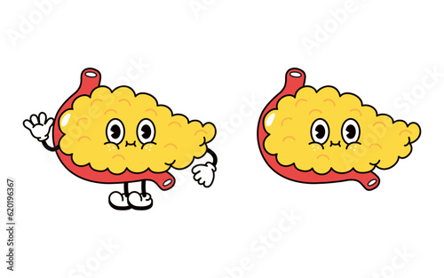 Pancreas character. Vector hand drawn traditional cartoon vintage, retro, kawaii character illustration icon. Isolated on white background. Pancreas character concept